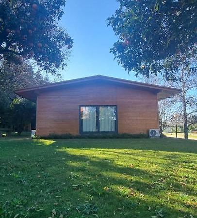 Casa Da Ferreirinha Vendégház Faldejaes Kültér fotó